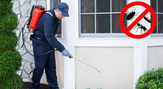 Karamürsel Hamam Böceği İlaçlama böcek ilaçlama ve haşere kontrolü — ilaclama-tr.com